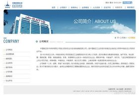 深圳企業(yè)網站建設 從品牌形象到電商店鋪的全面指南